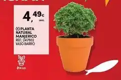 Continente Planta - natural manjerico promoção