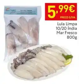 Lula Limpa 10/20 Índia Mar Fresco