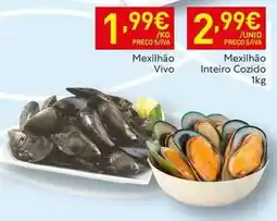 Recheio Mexilhao vivo promoção