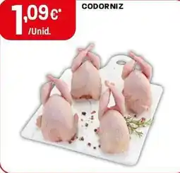 Intermarché Codorniz promoção