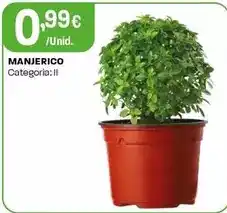 Manjerico