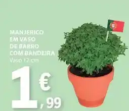 com - manjerico em vaso de barro
