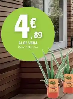 E.Leclerc Aloé vera promoção