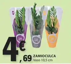 E.Leclerc Vaso 10,5 cm promoção