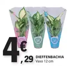 E.Leclerc Vaso 12 cm promoção