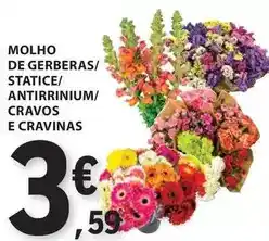 E.Leclerc Molho de gerberas/statice/antirinium/cravos e cravinas promoção