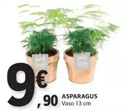 E.Leclerc Asparagus promoção