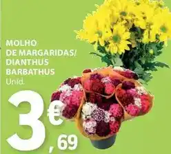 E.Leclerc Molho de margaridas/ dianthus promoção