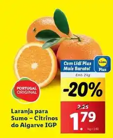 Lidl com - laranja para sumo-citrinos do algarve igp promoção