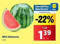 Lidl Mini - melancia promoção