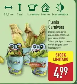 ALDI A+ - planta carnivora promoção