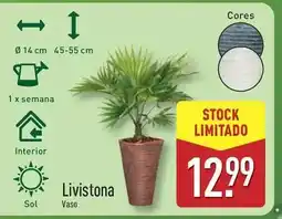 ALDI Sol - livistona promoção