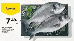 Continente Aquacultura - dourada aquecultura fresca promoção