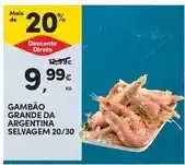 Continente Gambão grande da argentina selvagem 20/30 promoção