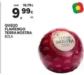 Continente Terra nostra - queijo flamengo promoção