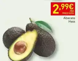 Abacate hass
