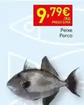 Recheio Peixe porco promoção