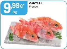 Intermarché Cantaril promoção