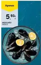 Continente Mexilhão promoção