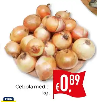 Bolama Cebola média promoção