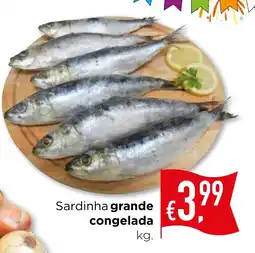 Bolama Sardinha grande congelada promoção
