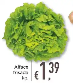 Bolama Alface frisada promoção