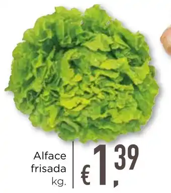 Bolama Alface frisada promoção