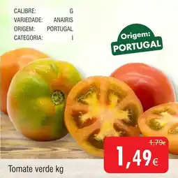 Froiz Tomate verde promoção