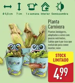 ALDI Planta Carnívora promoção