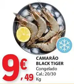 E.Leclerc Camarão black tiger promoção