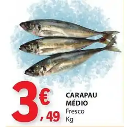 E.Leclerc Carapau médio promoção