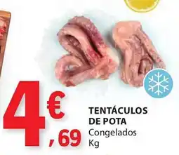 E.Leclerc Tentáculos de pota congelados promoção