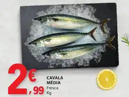 E.Leclerc Cavala média Fresca promoção