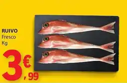 E.Leclerc RUIVO Fresco promoção
