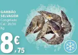 E.Leclerc Gambao selvagem promoção