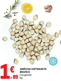 E.Leclerc Amêijoa vietnamita branca promoção