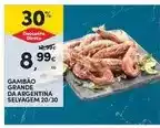 Continente Gambão grande da argentina selvagem promoção