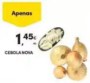 Continente Cebola nova promoção