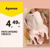 Continente Pato - inteiro fresco promoção