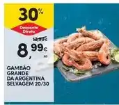 Continente Gambão de argentina selvagem promoção