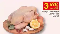 Recheio Frango campestre campones promoção