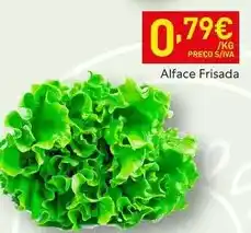 Recheio Alface frisada promoção
