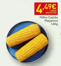 Recheio Milho cozido maçaroca promoção