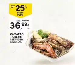 Continente Camarão tigre 1/8 selvagem promoção