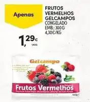 Continente Gelcampo - frutos vermelhos promoção