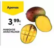 Continente Manga de avião palmer promoção