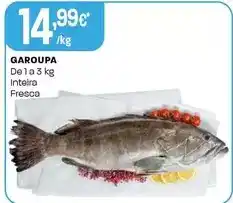 Intermarché Garoupa promoção