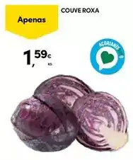 Continente Couve roxa promoção
