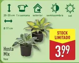 ALDI Sol - hosta mix promoção