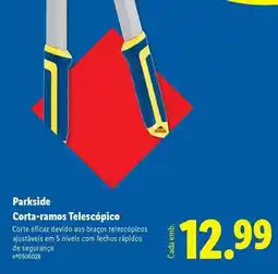 Lidl Parkside - corta-ramos telescopico promoção